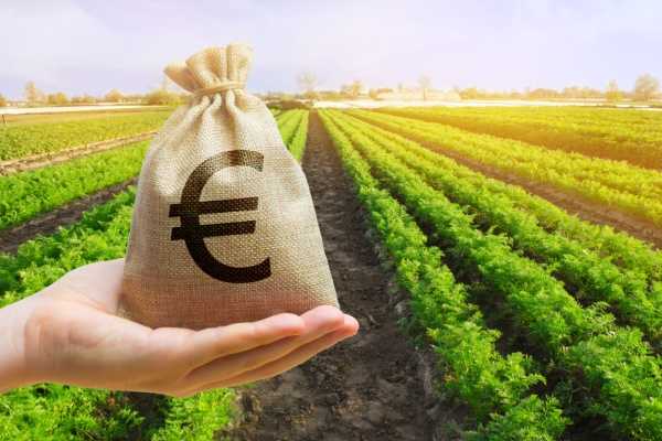 Agriculture : précisions sur les aides écorégime 