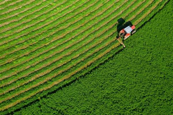 Souveraineté alimentaire : du nouveau ? 