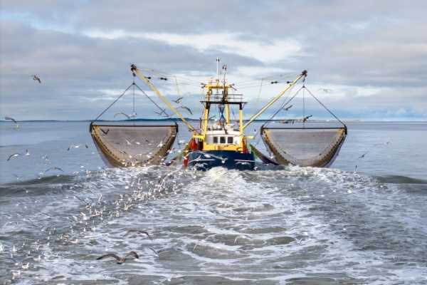 Déclaration des activités de pêche : passage à la déclaration électronique ?