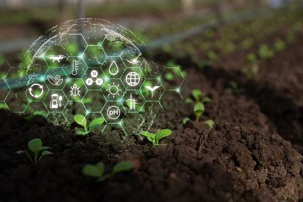 Agriculture : qui pilote la stratégie nationale d’installation et de transmission ?