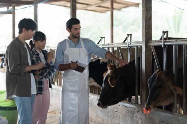 Travailleurs agricoles : une nouvelle aide à la promotion collective agricole