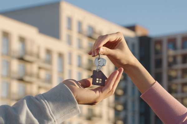 Prescription acquisitive à Mayotte : un délai raccourci 