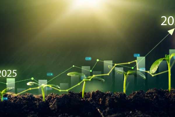 Production biologique : un crédit d’impôt prolongé