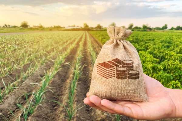 Jeunes agriculteurs : du nouveau du côté des exonérations sociales ! 