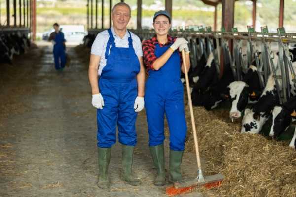 Conventions de stage en milieu agricole : les modèles sont disponibles ! 