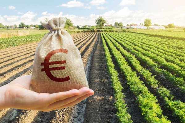 Aides à l’installation des jeunes agriculteurs : précisions sur les sanctions 