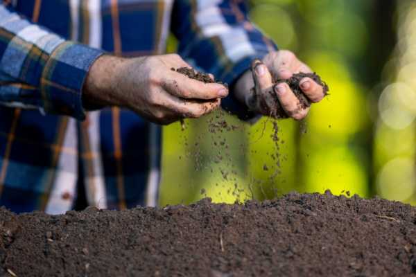 Produits fertilisants : une définition commune des usages